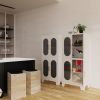 Metal Storage Cabinet, Bathroom Storage Cabinet with Doors and Shelves, Office Storage Cabinet with Lock, Black Garage Cabinets, 3 Adjustable Shelves,