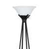 69" Metal Etagere Floor Lamp, Charcoal Finish