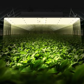 VEVOR 400W LED Grow Light; High Yield Samsung 281B Diodes Growing Lamp for Indoor Plants Seedling Veg and Bloom Greenhouse Growing; Full Spectrum Dimm (Power: 400 W)